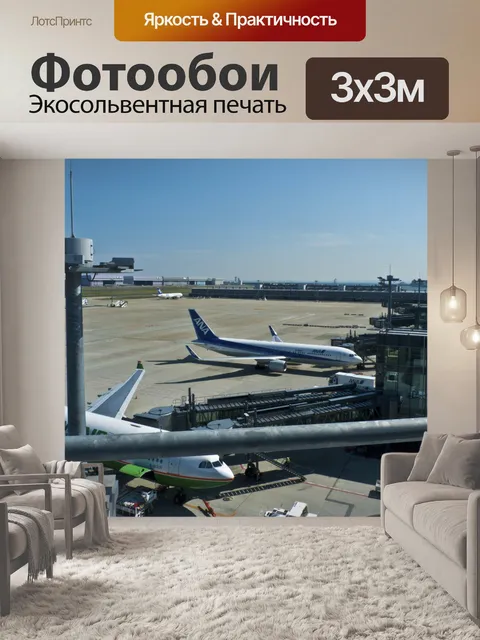 Фотообои Ханэда аэропорт