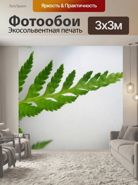 Фотообои зеленый папоротник