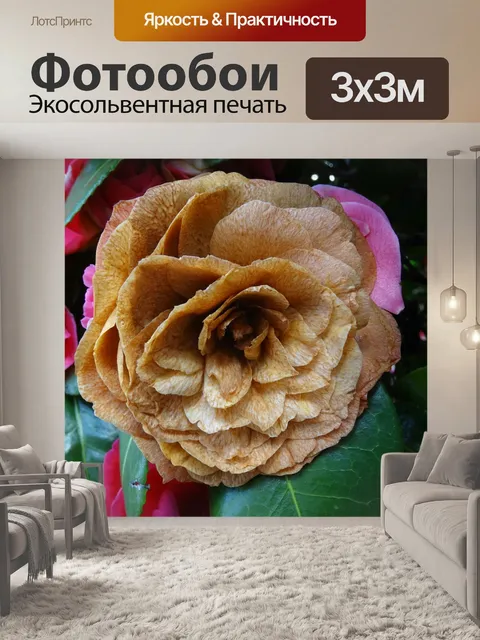 Фотообои Браун Куст Цветок