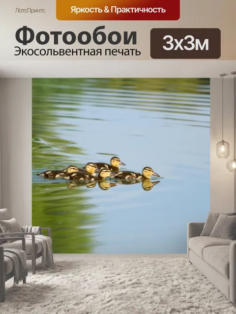 Фотообои Утки