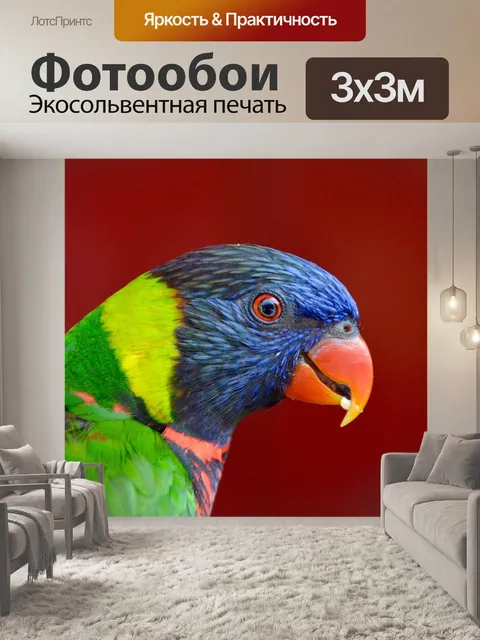 Фотообои Попугай