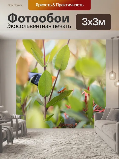 Фотообои Природа