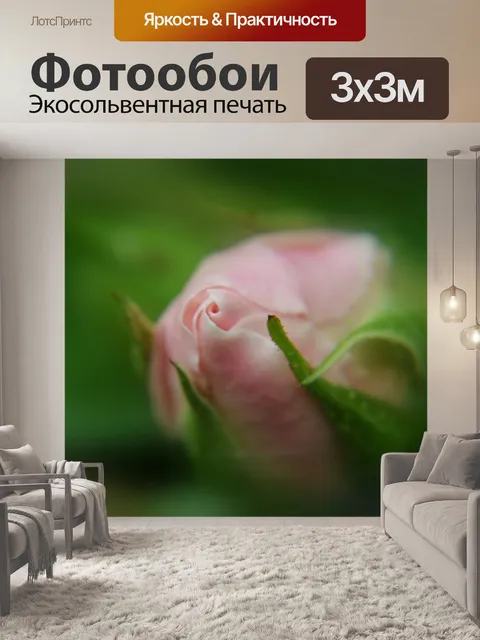 Фотообои Розовый