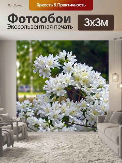 Фотообои Белые азалии в озарк арканзас