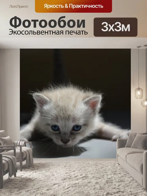 Фотообои Котенок кошка кошка кошка милый маленьки
