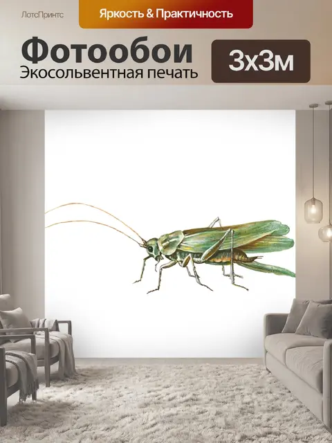 Фотообои Кузнечик Саранча Насекомое