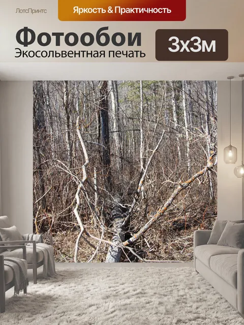 Фотообои Упавшее дерево в лесу