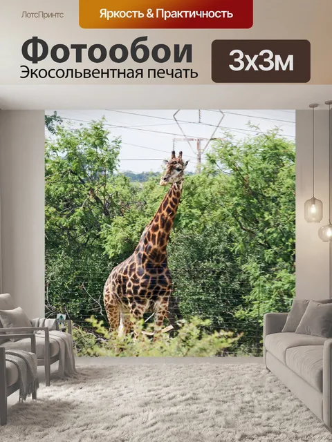 Фотообои Высокий темный жираф-бык в солнечном све