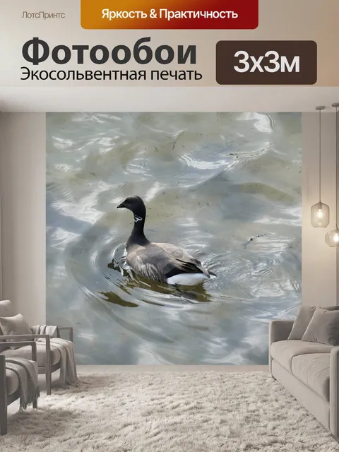 Фотообои Дикий гусь плавание