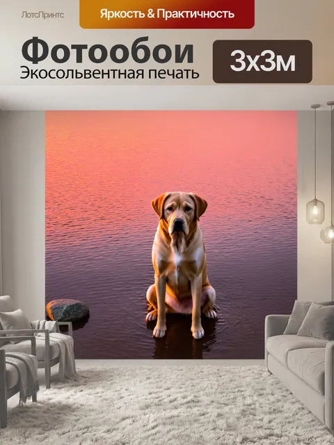 Фотообои лабрадор, сидящий на берегу спокойного озера во время заката