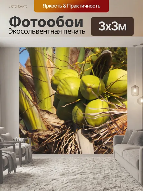 Фотообои Кокосовый