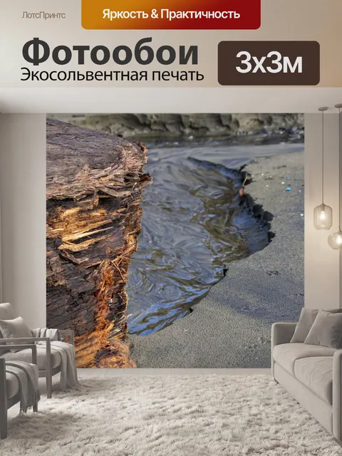 Фотообои Морской берег ручья