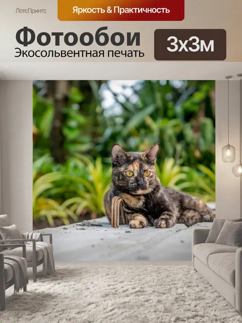 Фотообои Кот