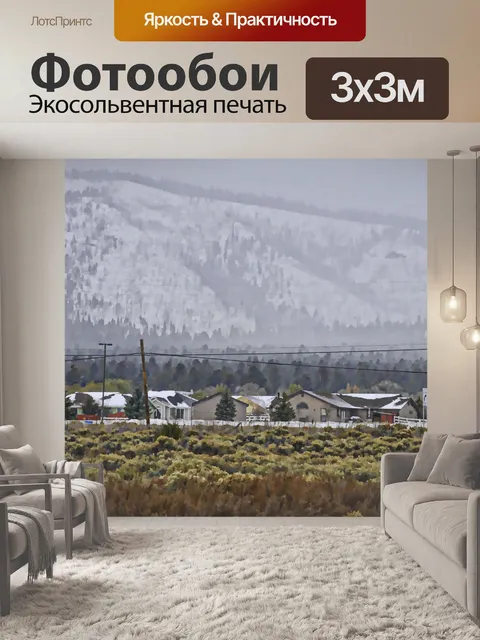 Фотообои Снежный Район