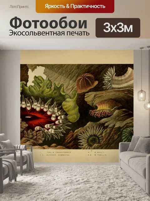 Фотообои Кораллы, морские анемоны, винтажное иску