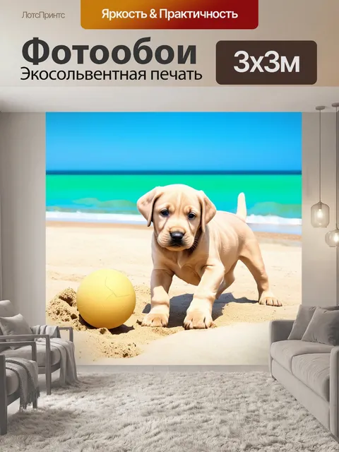 Фотообои изображение должно изображать щенка лабрадора, играющего с мячиком на песчаном пляже