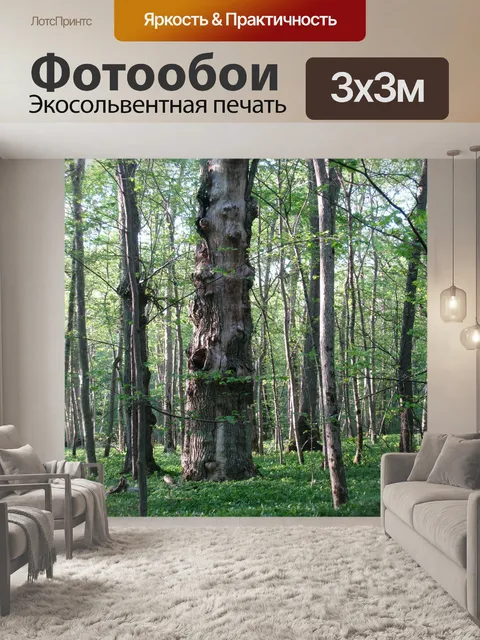 Фотообои Старый
