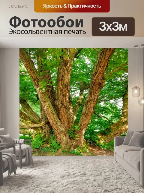 Фотообои Большое зеленое дерево