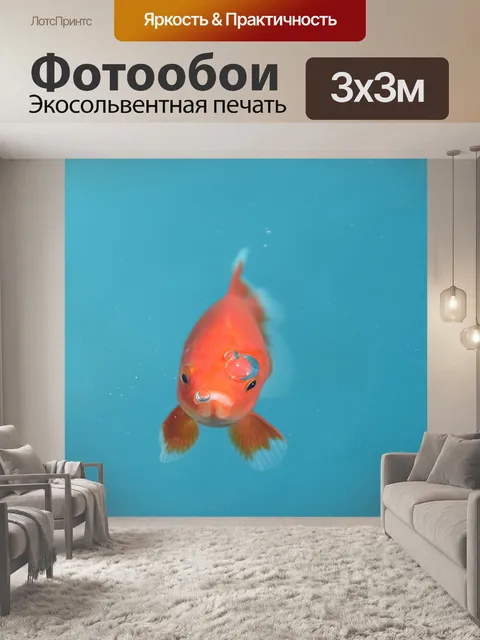 Фотообои Рыбы