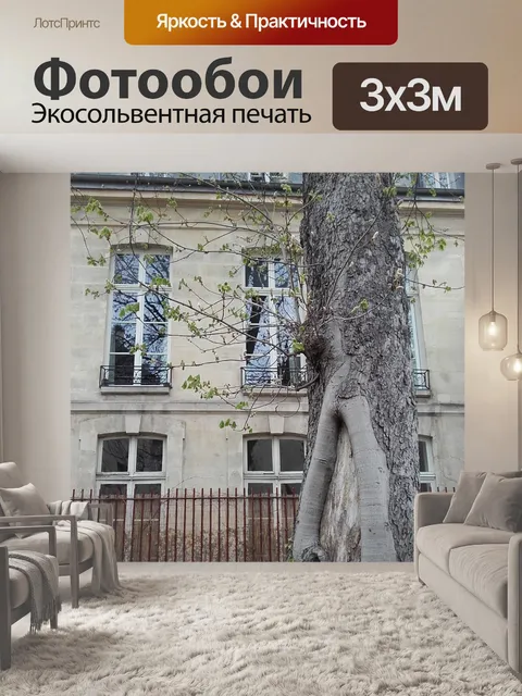 Фотообои Париж