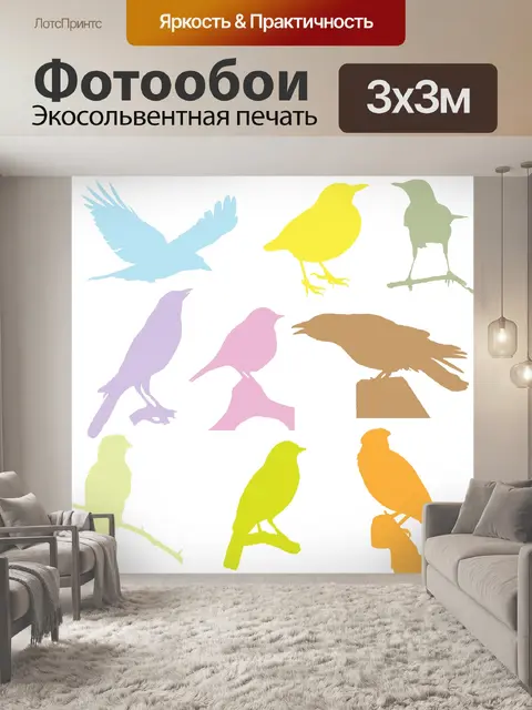 Фотообои Силуэты красочных птиц