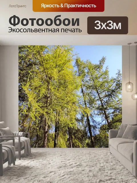 Фотообои Лес