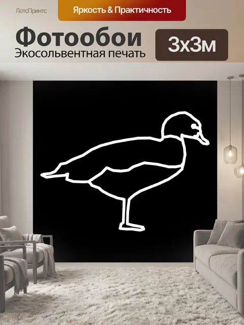Фотообои белая утка