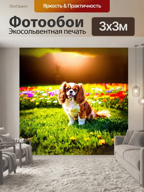 Фотообои веселая собака, кавалер кинг чарльз спаниель, сидит на ярком зеленом лугу, окруженная разноцветными цветами