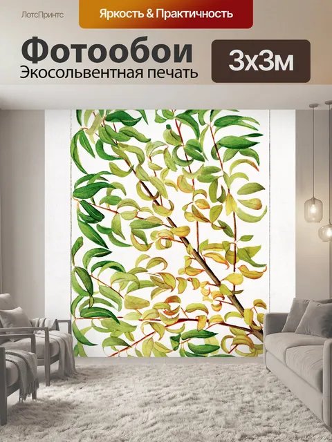 Фотообои Листья листва филиал акварель