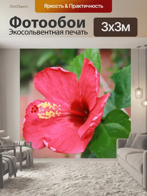 Фотообои Природа