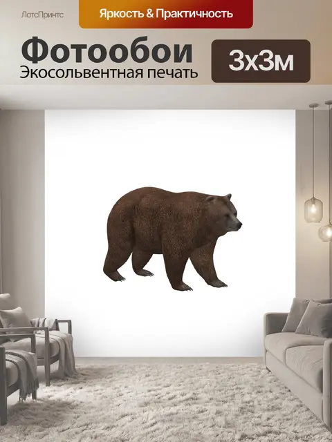 Фотообои рисунок шарика