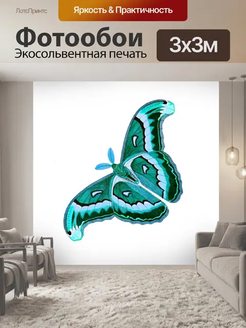 Фотообои Клипарт бабочка винтажное искусство