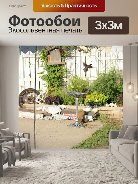 Фотообои Кормушку Птица в полете