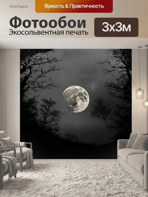Фотообои крупным планом представлена луна