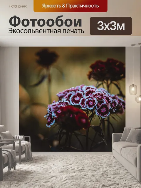 Фотообои Гвоздика