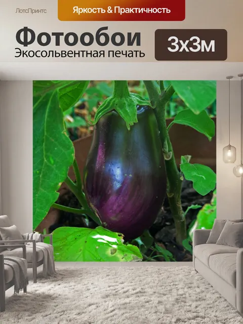Фотообои баклажан на заводе