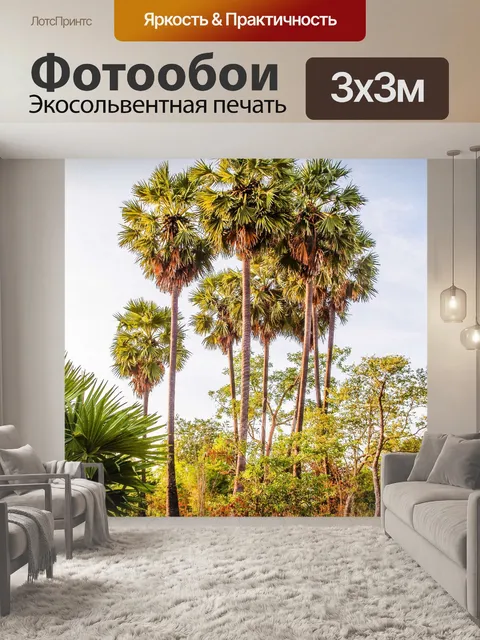 Фотообои Сахарная пальма