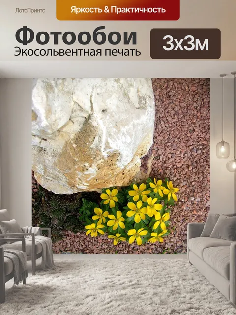 Фотообои Причудливый камень