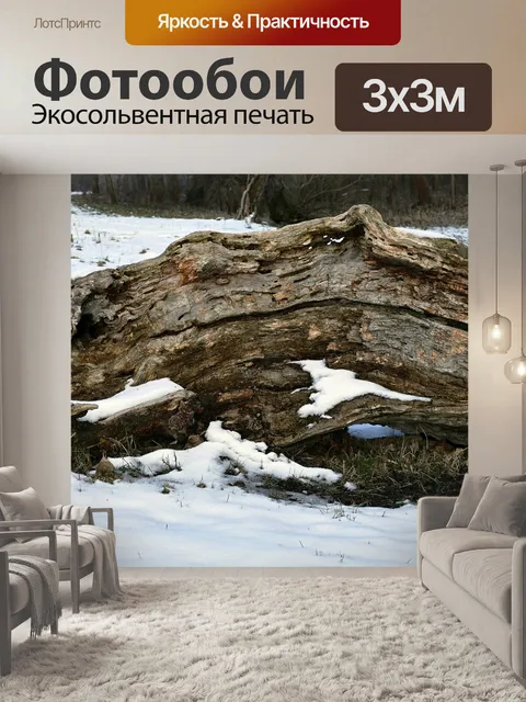 Фотообои Старый