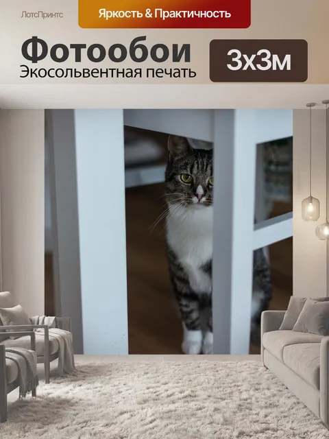Фотообои В помещении
