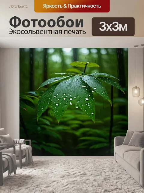 Фотообои лес в дождливый день с каплями воды на листьях