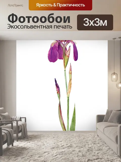 Фотообои Винтажный клипарт цветок ириса