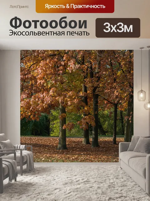 Фотообои Осень