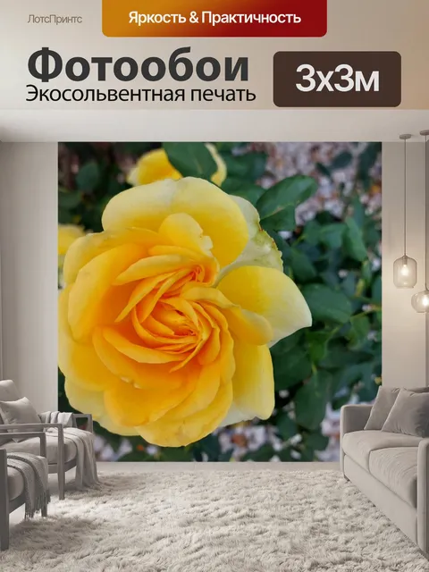 Фотообои Большая желтая роза