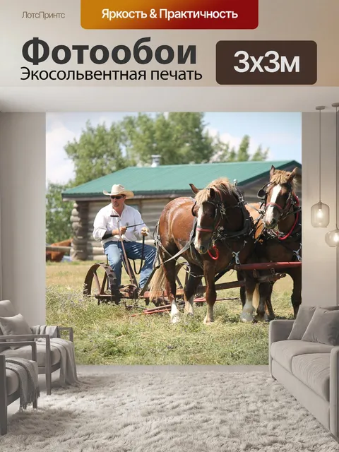 Фотообои Бельгийские лошади