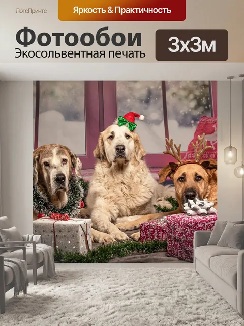 Фотообои Собака