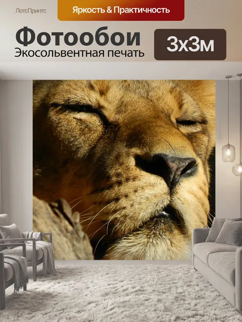 Фотообои Лев