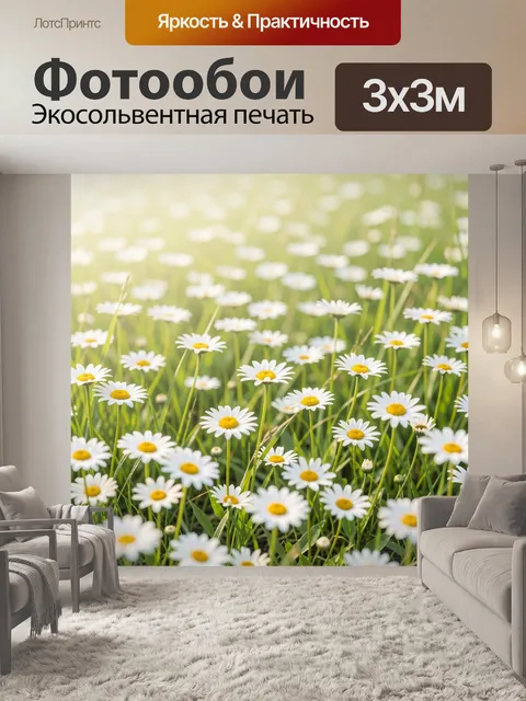 Фотообои Ромашковое поле в солнечном свете