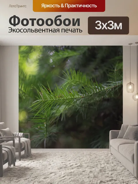 Фотообои Природные пейзажи