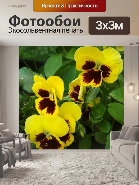 Фотообои Анютины глазки
